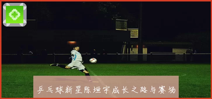 乒乓球新星陈垣宇成长之路与赛场精彩瞬间全纪录
