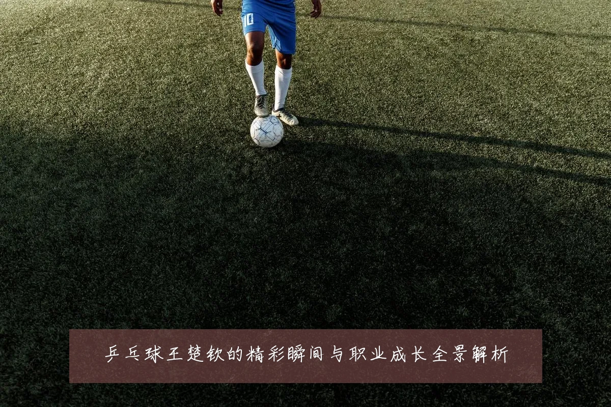 乒乓球王楚钦的精彩瞬间与职业成长全景解析