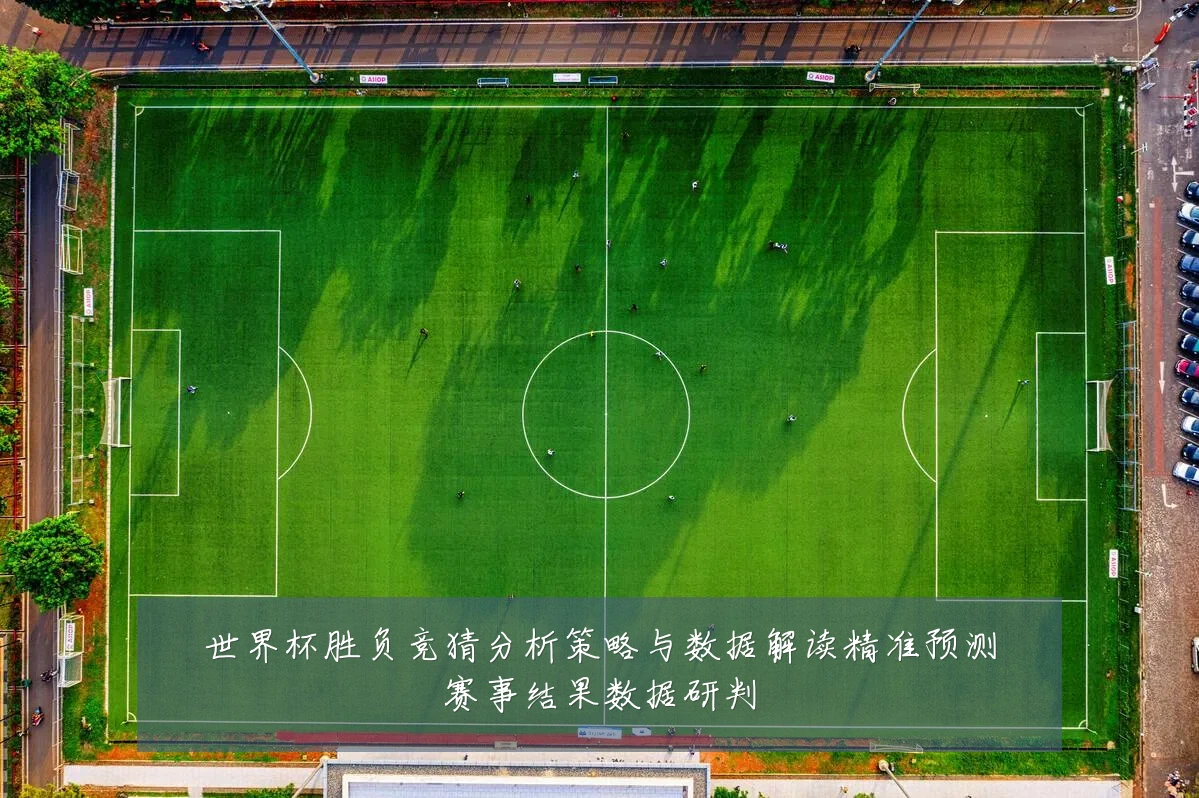 世界杯胜负竞猜分析策略与数据解读精准预测赛事结果数据研判